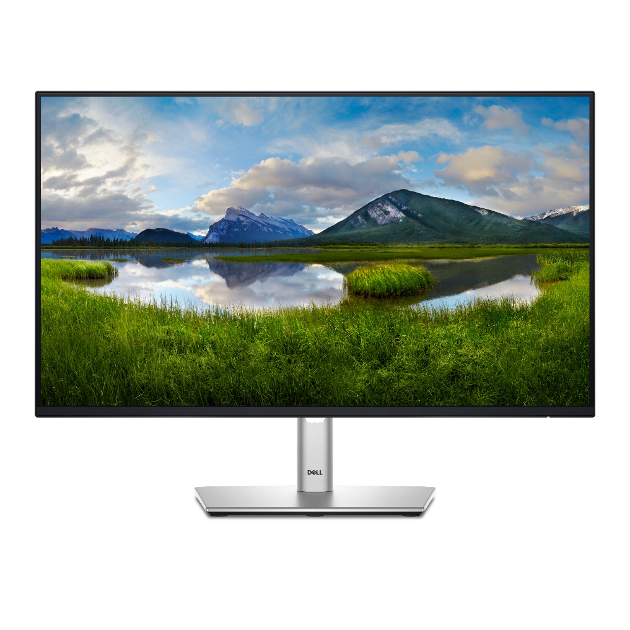Dell Pro 24